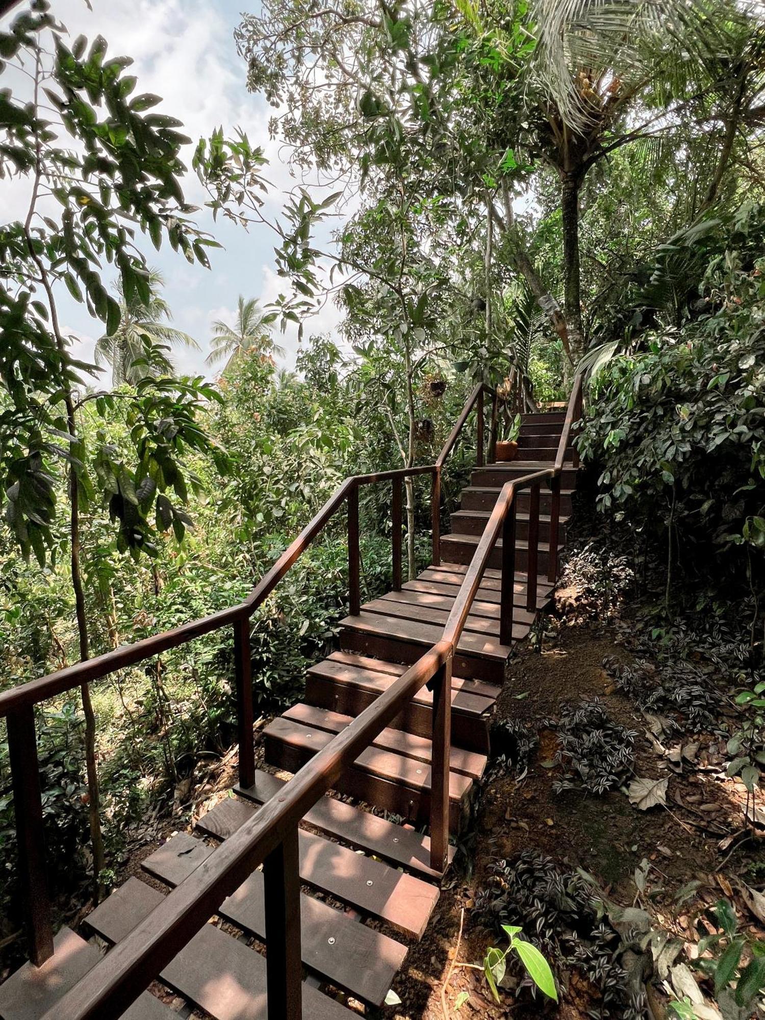 Cinnamon View Lodge Mirissa Habitación foto